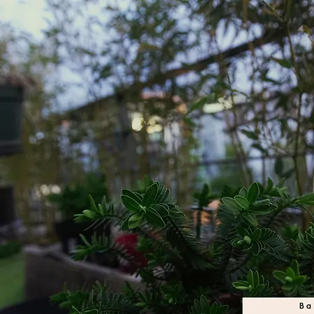 Cosy Coliving Space Near Paris *